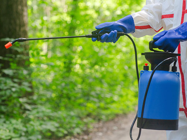 薬剤散布（病害虫対策）