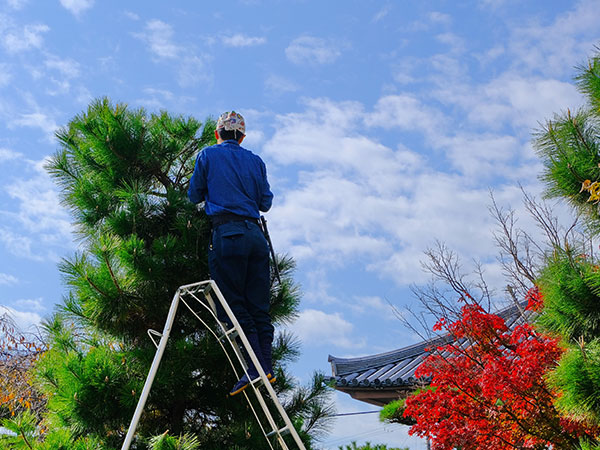 点検・メンテナンス